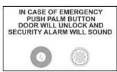 Diagram of Series APB1000A: Emergency Access Panel with a palm button and a pull-down lever.